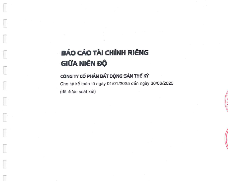 Báo cáo tài chính riêng bán niên 2025 đã được soát xét